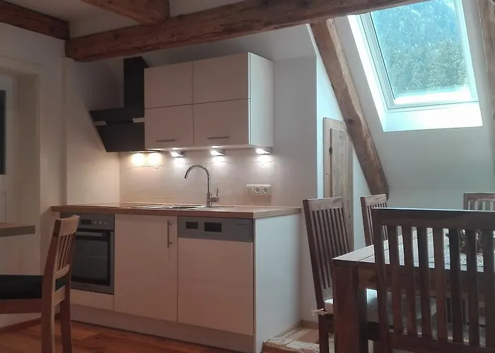 شباب هوسب شقة *